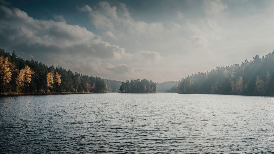 A Gentler Way to Approach Stress: Signal, Response And Recovery, One Step at a Time