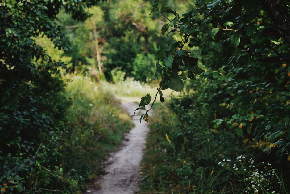 A Kinder Approach to Starting Again After A Setback