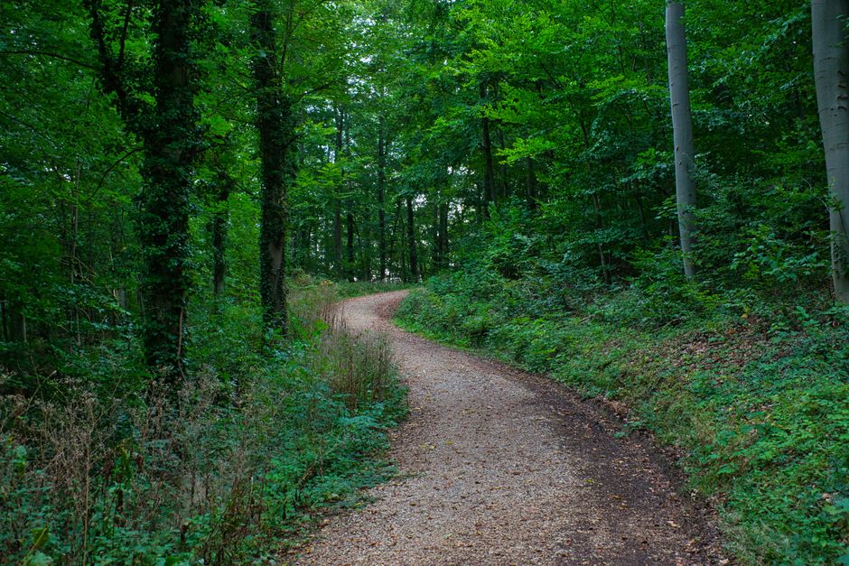 Building a Daily Routine Around Caring For Your Overall Health