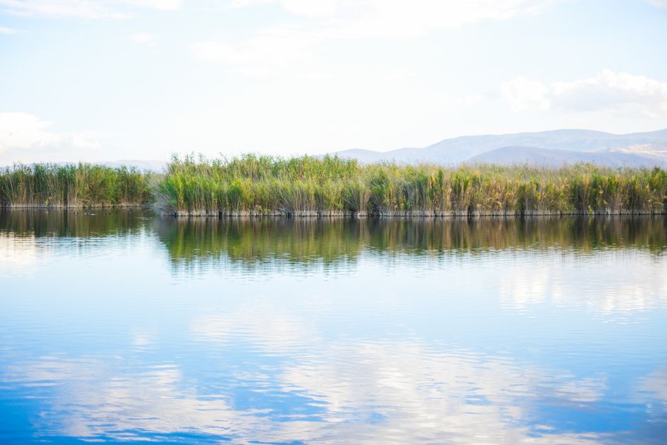 Building a Daily Routine Around Wellness Without Perfectionism, Without the Hype