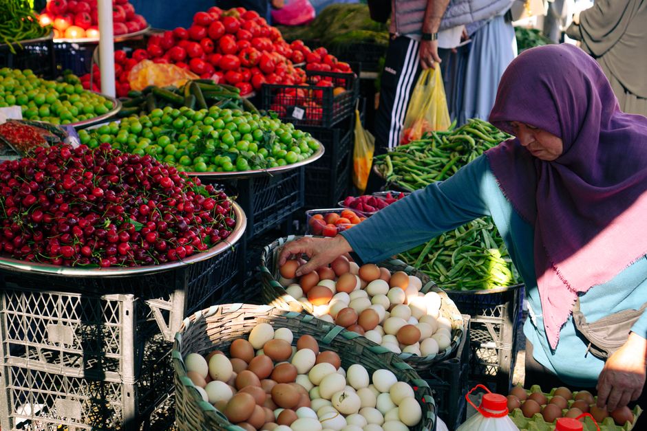Coming Back to The Role Of Environment In Health, in Plain Language
