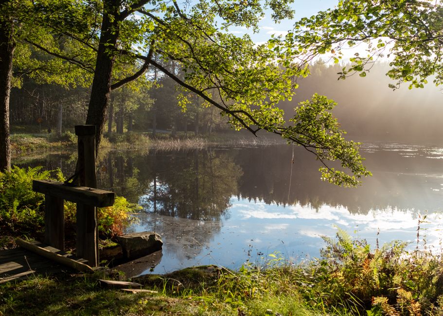 Everyday Habits Built Around Health And Uncertainty, One Step at a Time