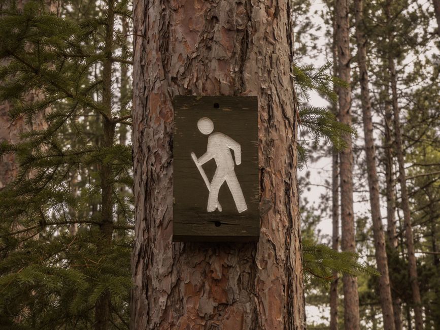 Everyday Habits Built Around Moving More Without Going To A Gym, Without the Hype