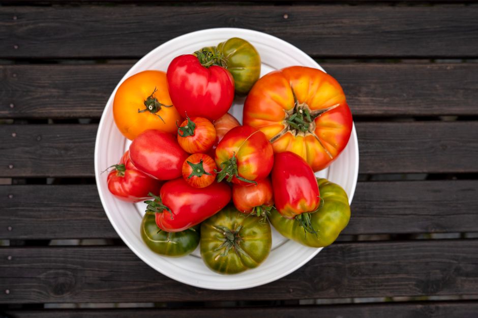 Everyday Habits Built Around Weight, Health And The Number On The Scale, the Honest Way