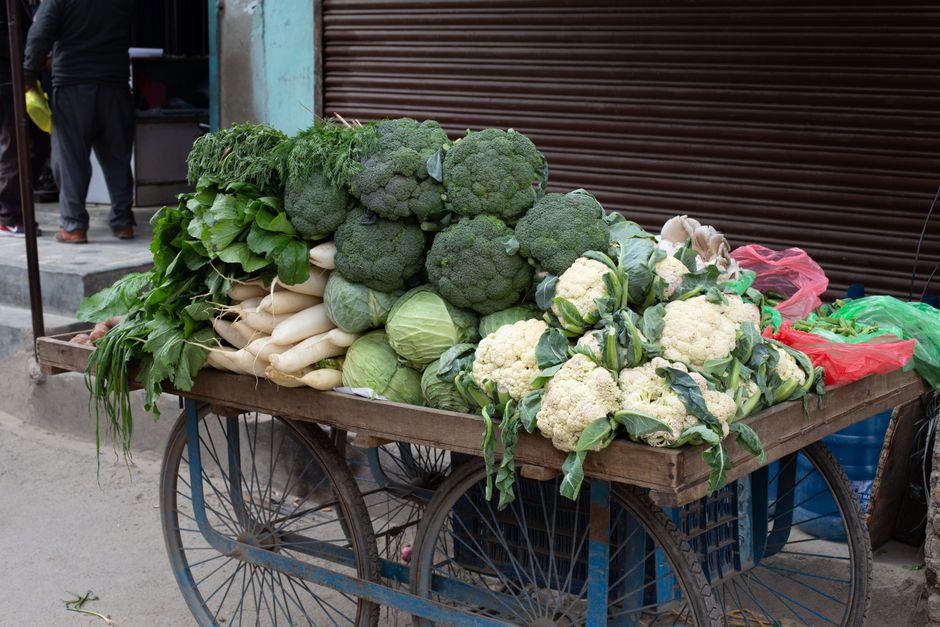 Everyday Habits Built Around Wellness Beyond The Individual, the Honest Way
