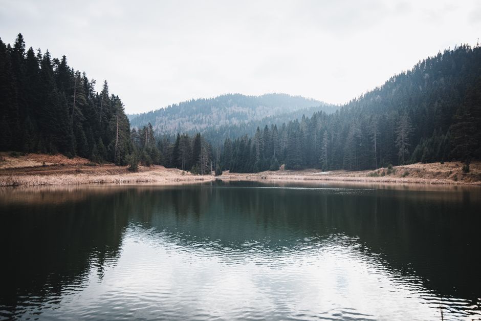 How to Stay Consistent With Wellness Without Perfectionism, Explained Simply
