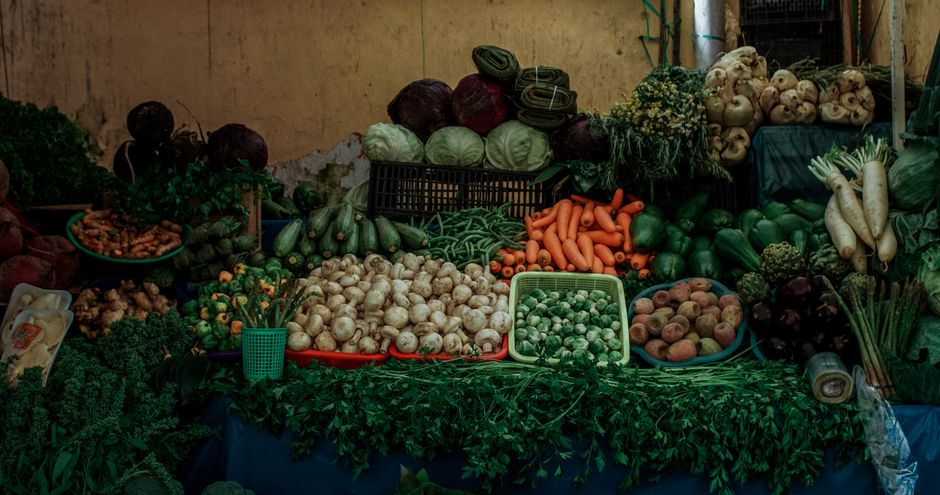 How Wellness For Everyday Life Fits a Real Routine, for Real Life