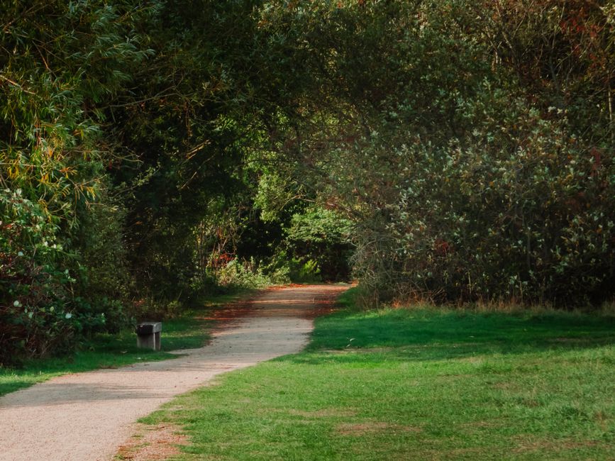 Recovery, Rest Days And Overdoing It for Busy People, the Honest Way