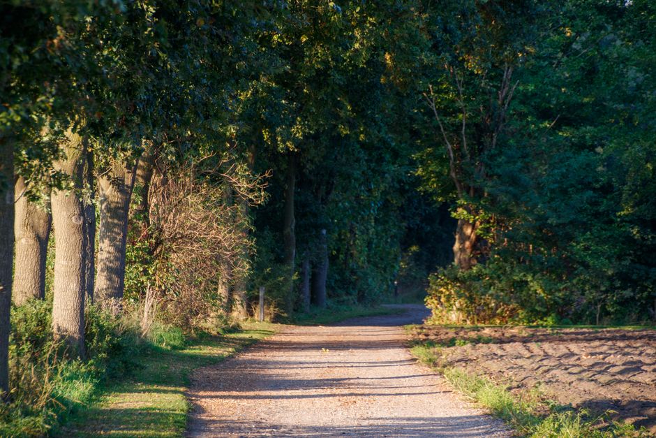 The Ordinary Virtues Of Walking in Your 40s, 50s and Beyond, the Honest Way