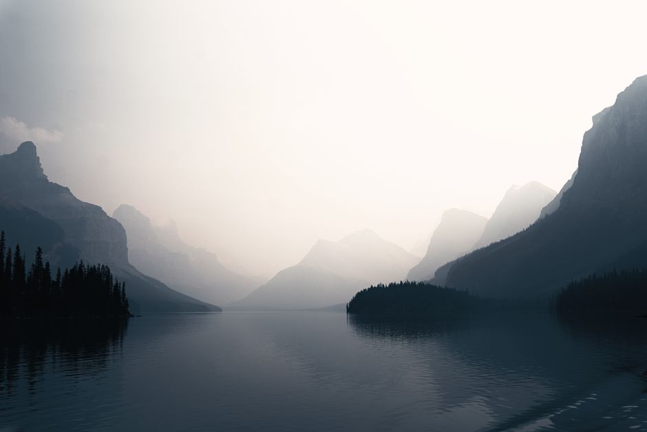 Understanding Health And Wellness: A Beginner's Guide