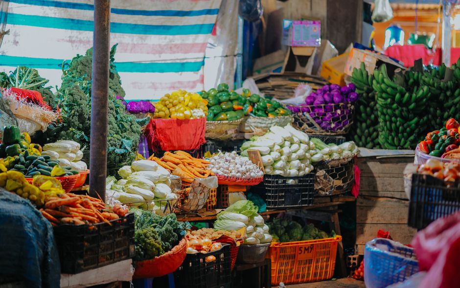 Wellness For Everyday Life: Where to Start