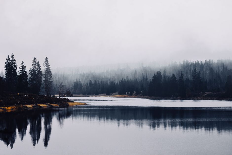 Where to Begin With Stress: Signal, Response And Recovery